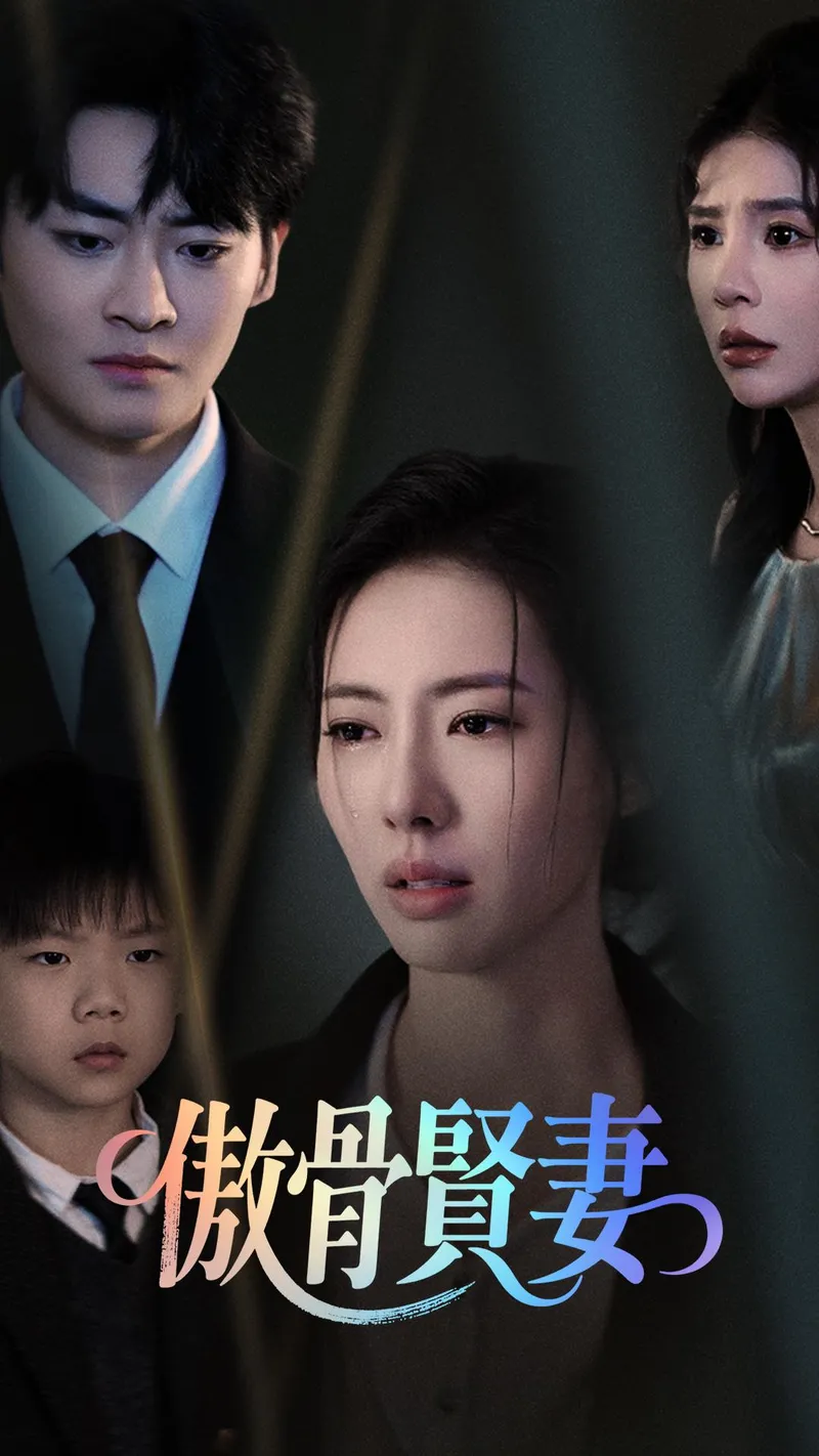 《傲骨賢妻》封面