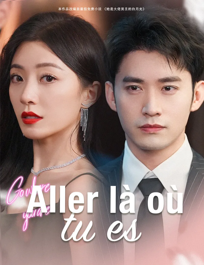Couverture de Aller là où tu es