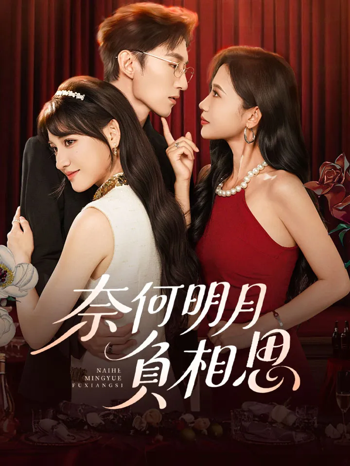 《奈何明月負相思》封面