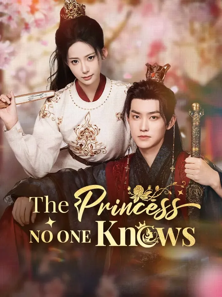 The Princess No One Knows cover