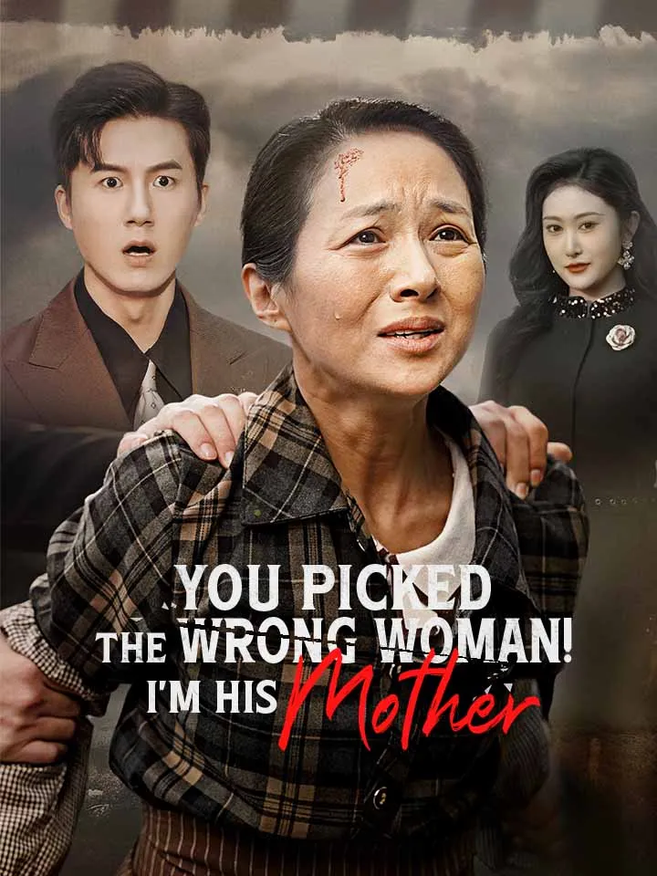 You Picked The Wrong Woman! I'm His Mother cover