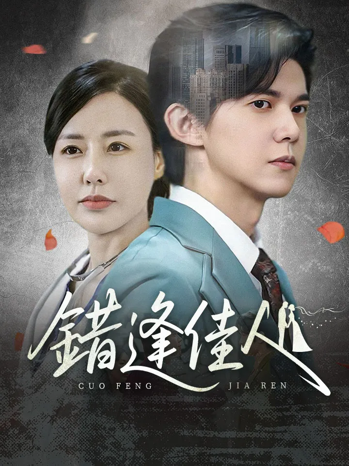 《錯逢佳人》封面