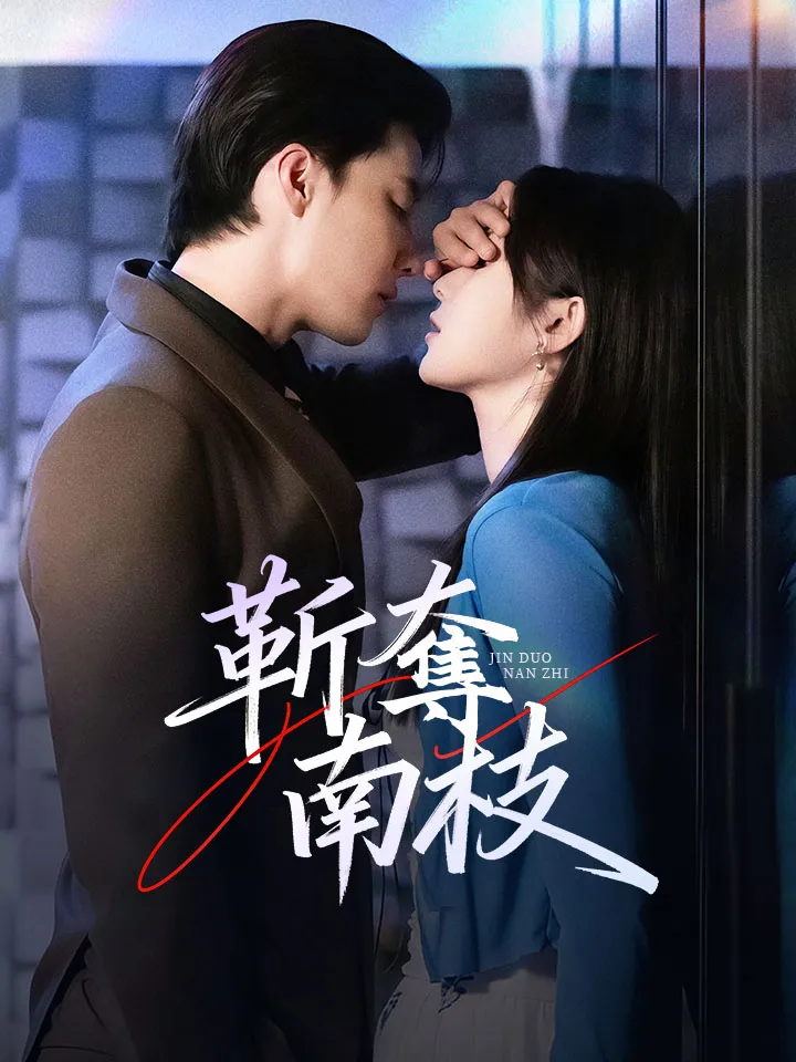《靳奪南枝》封面