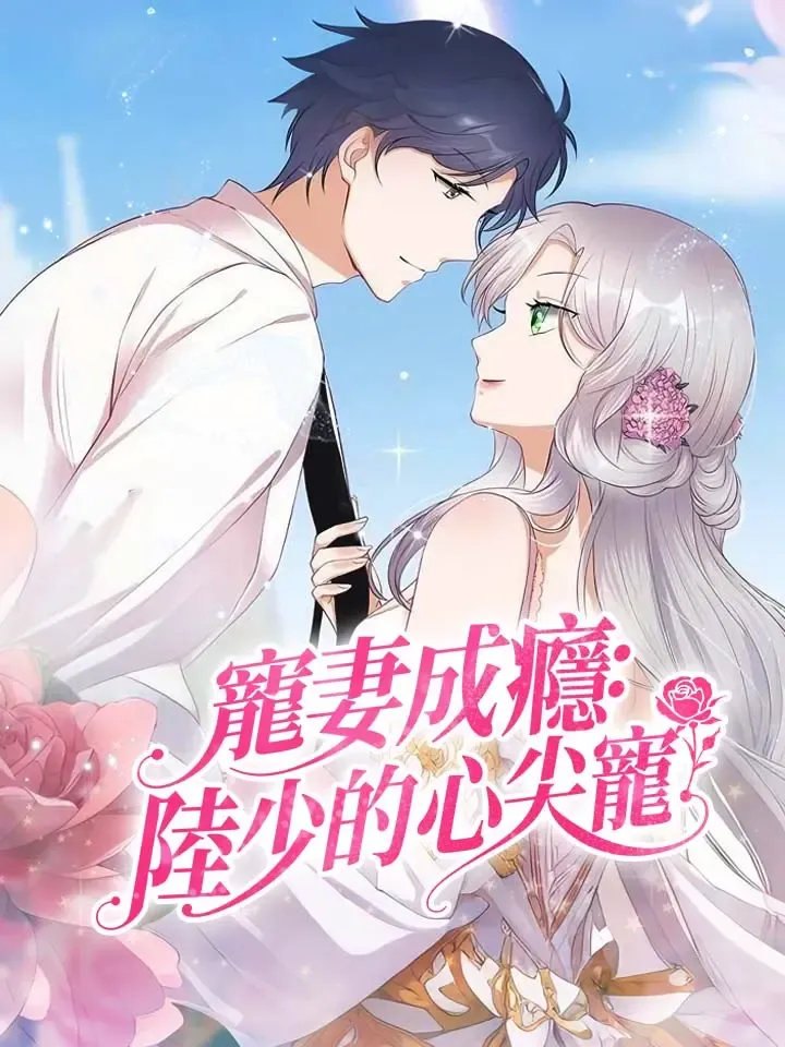 《寵妻成癮：陸少的心尖寵》封面