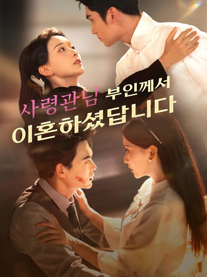 사령관님, 부인께서 이혼하셨답니다 표지
