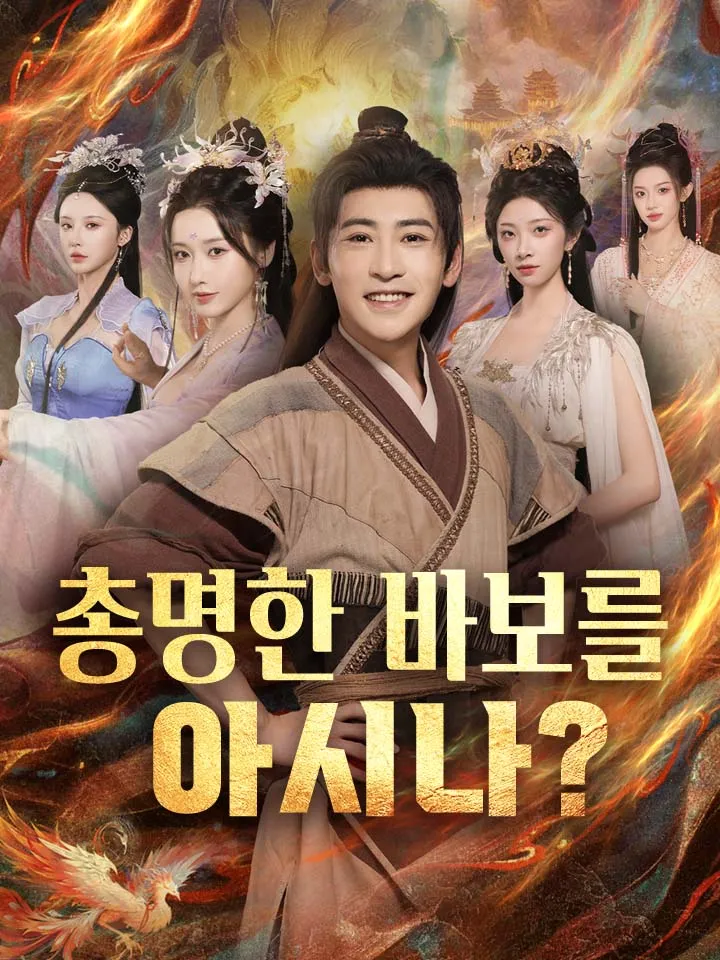 총명한 바보를 아시나? 표지