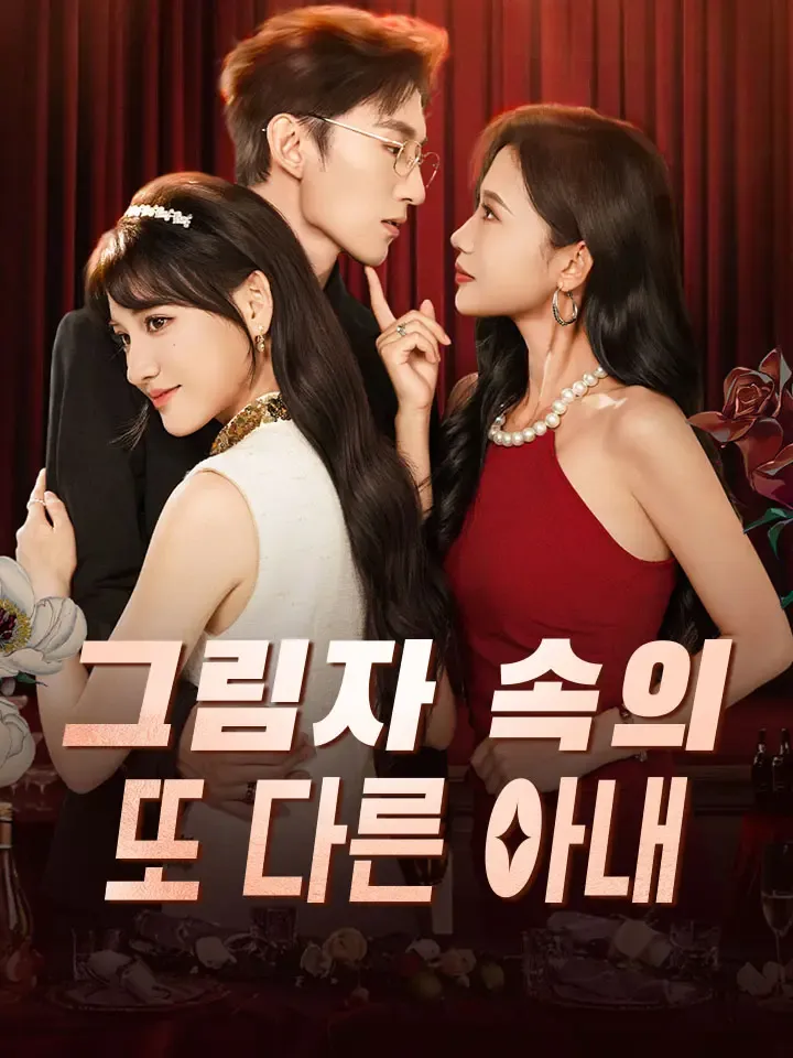 그림자 속의 또 다른 아내 표지