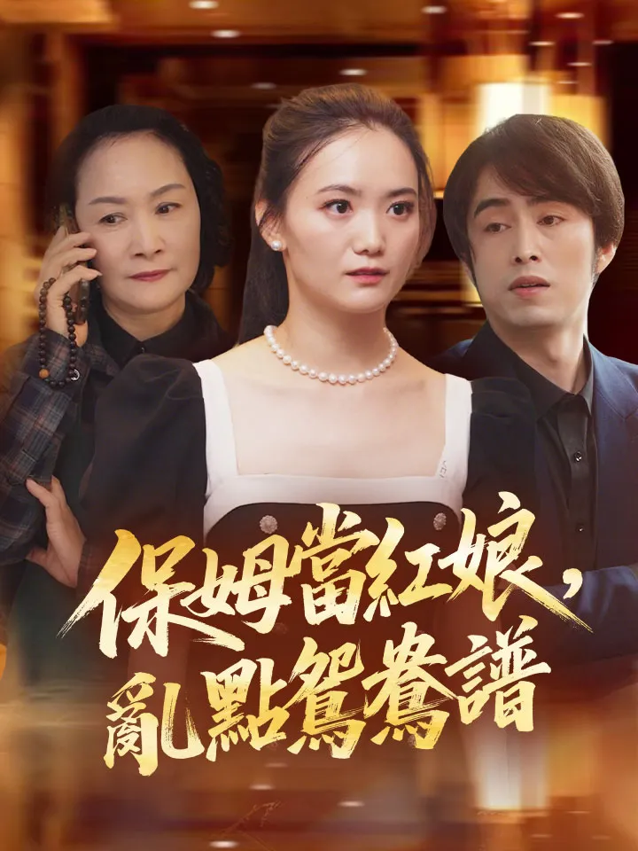 《保姆當紅娘，亂點鴛鴦譜》封面