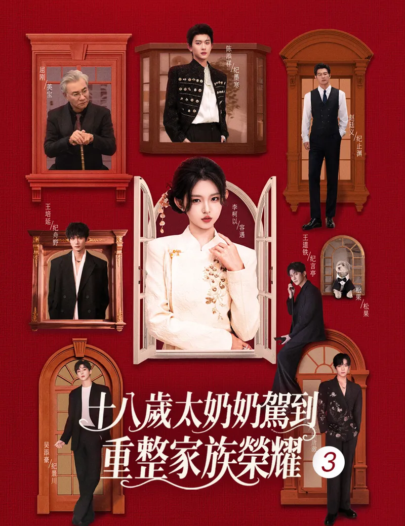 《十八歲太奶奶駕到，重整家族榮耀 3》封面