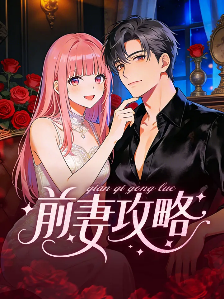 《前妻攻略》封面