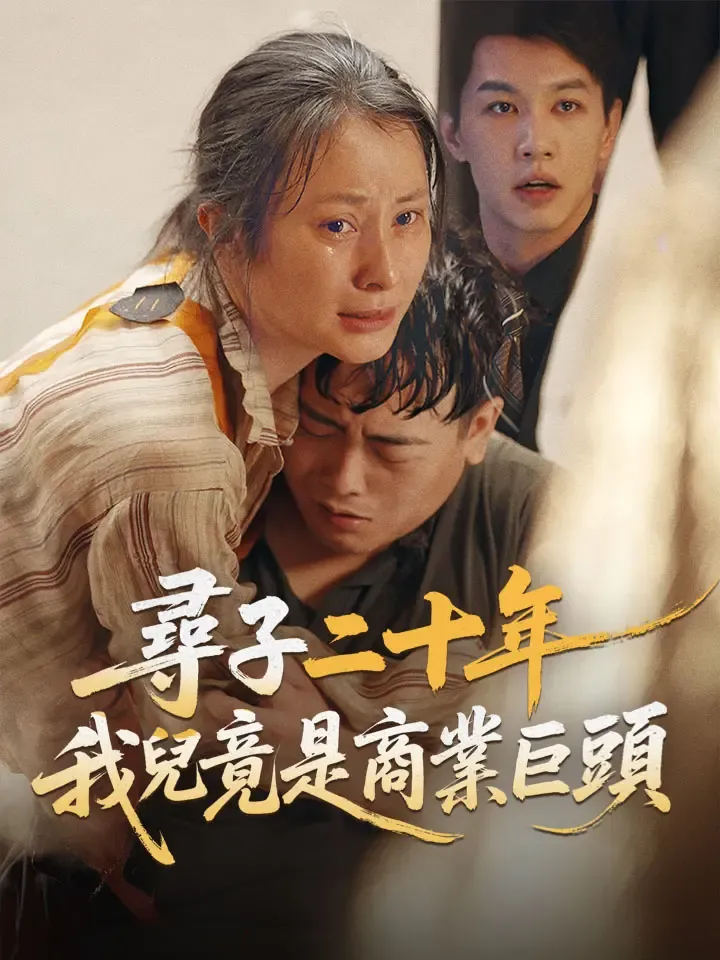 《尋子二十年，我兒竟是商業巨頭》封面