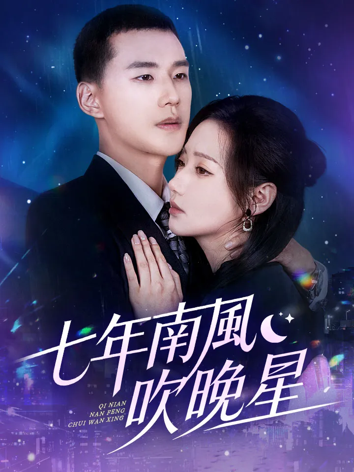 《七年南風吹晚星》封面