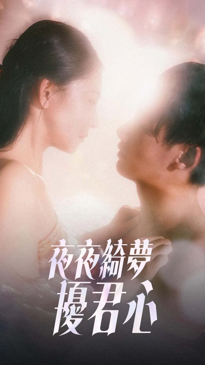 《夜夜綺夢擾君心》封面