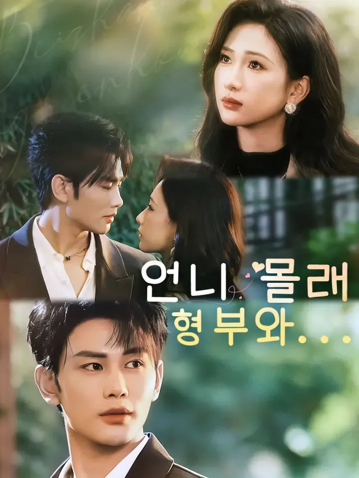 언니 몰래 형부와... 표지