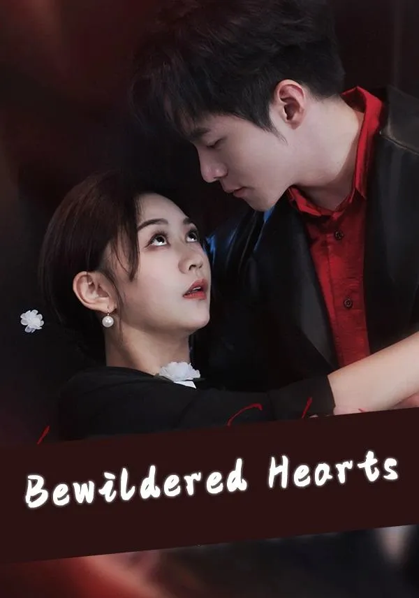 Bewildered Hearts cover