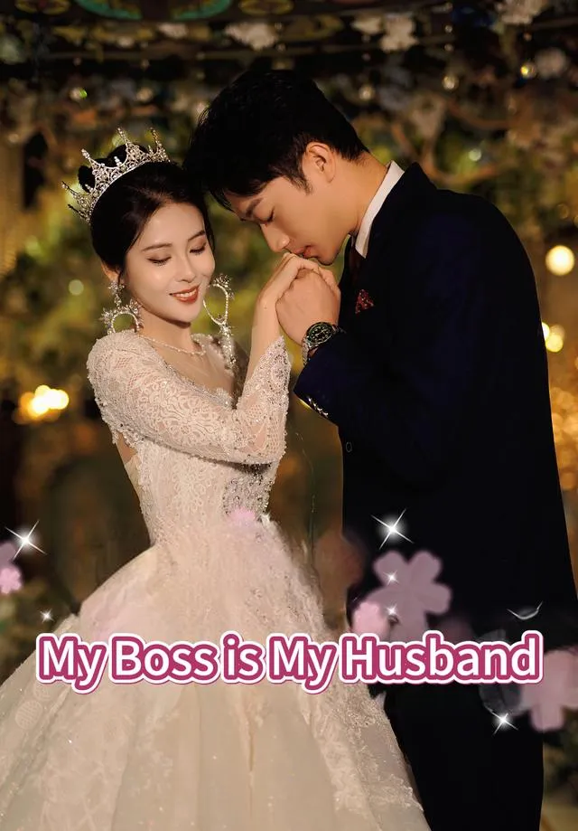 My Boss is My Husband cover
