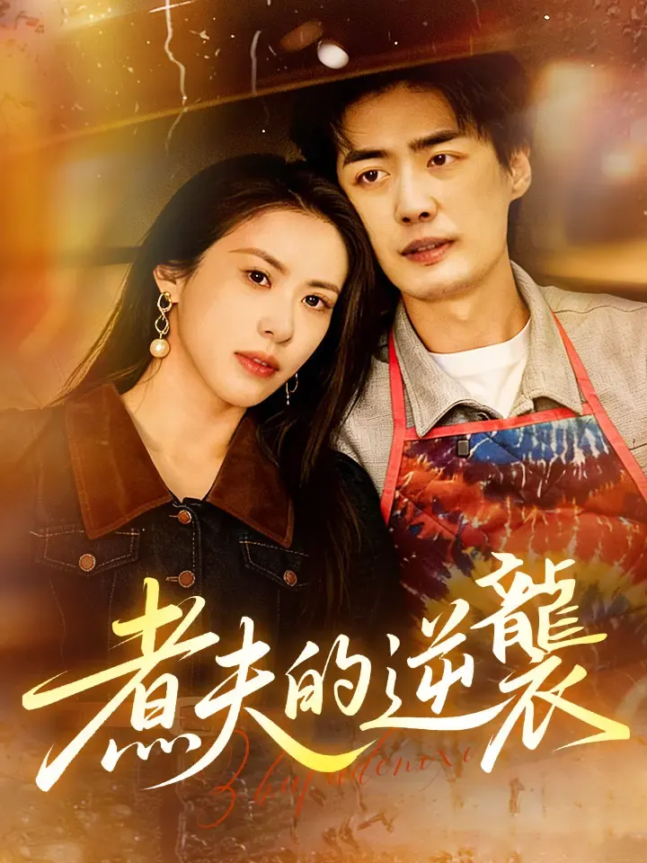 《煮夫的逆襲》封面