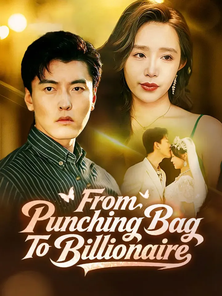 From Punching Bag To Billionaire cover