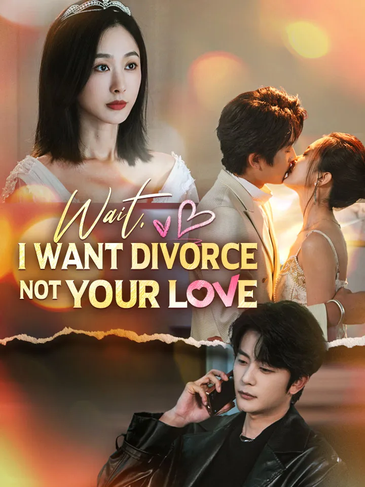 Wait, I Want Divorce Not Your Love cover