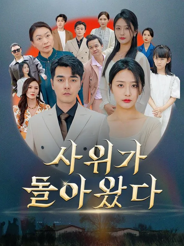 사위가 돌아왔다 표지