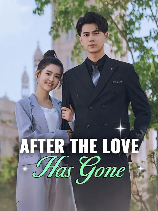 After the Love Has Gone cover