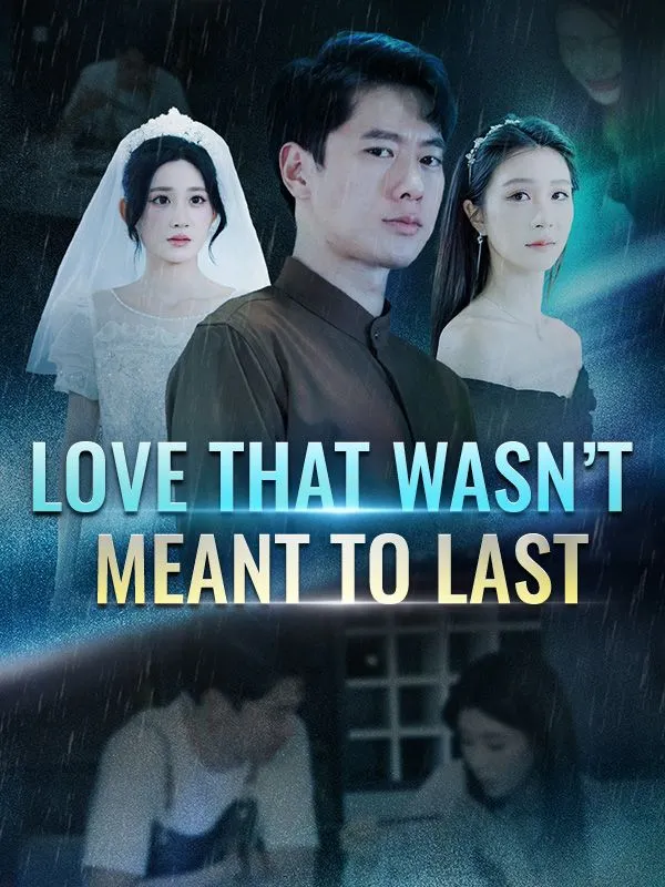 Love That Wasn't Meant to Last cover