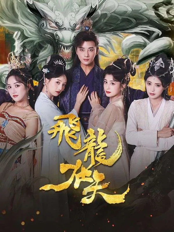 《飛龍在天》封面