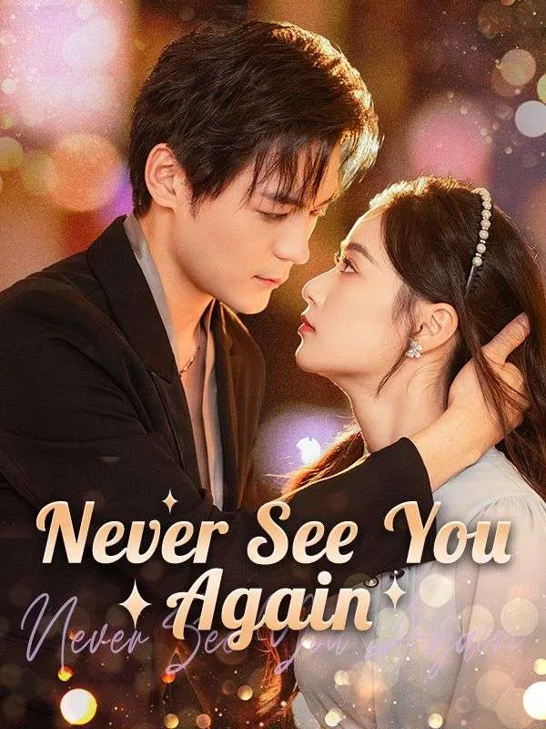 Never See You Again cover