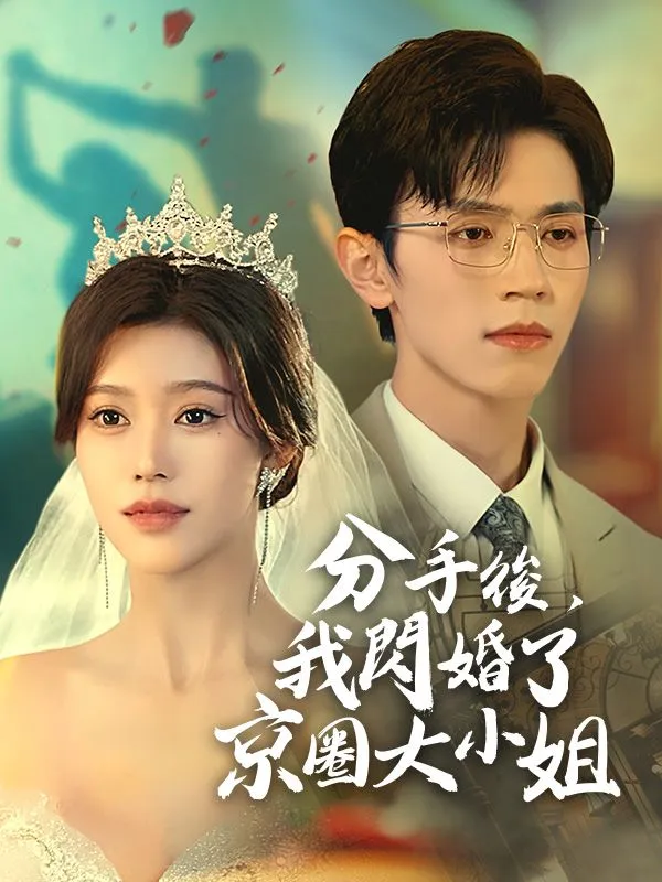 《分手後，我閃婚了京圈大小姐》封面
