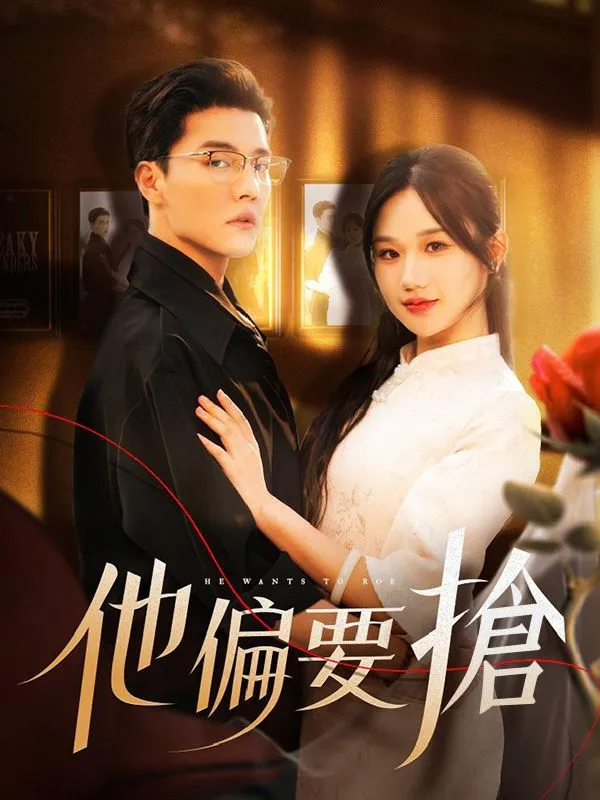 《他偏要搶》封面