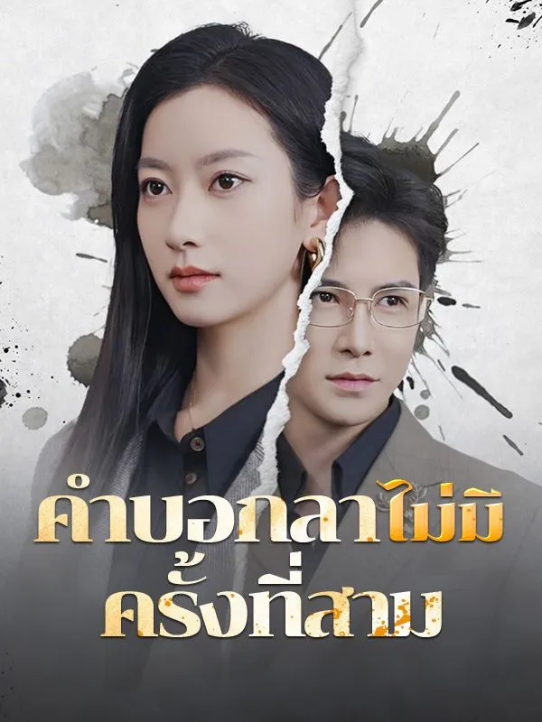 หน้าปกคำบอกลาไม่มีครั้งที่สาม(พากย์ไทย)