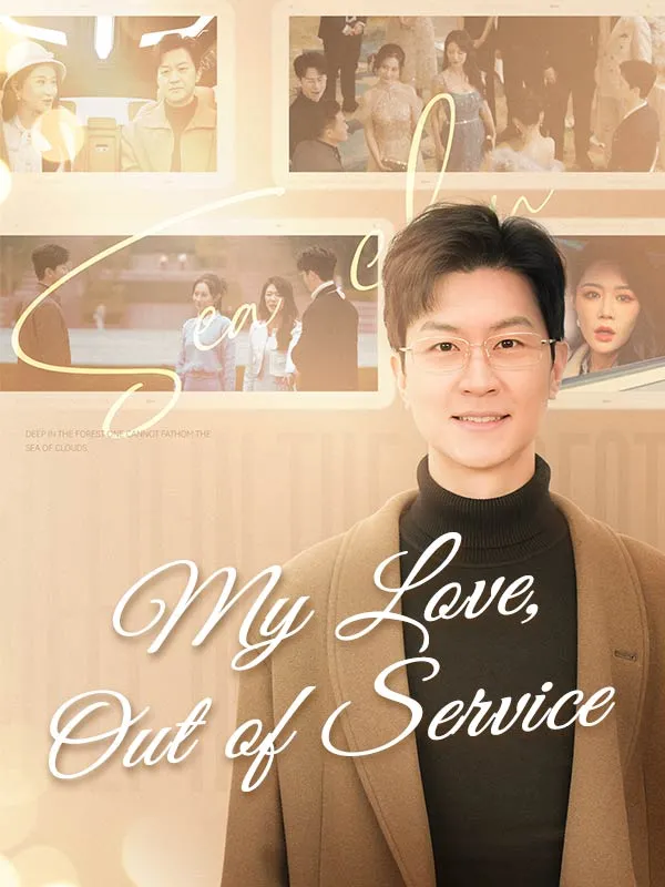 My Love, Out of Service (DUBBED) cover
