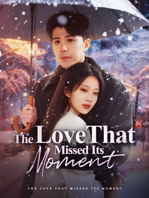 The Love That Missed Its Moment cover
