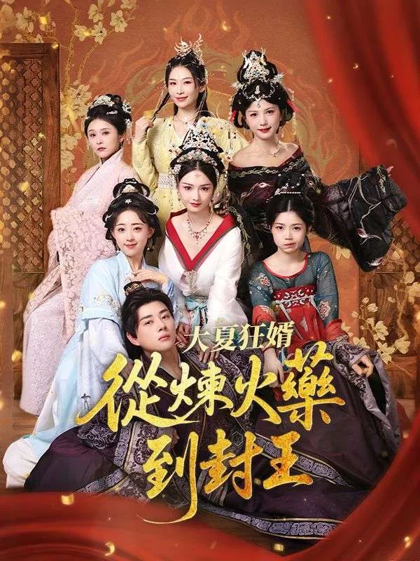 《大夏狂婿：從煉火藥到封王》封面
