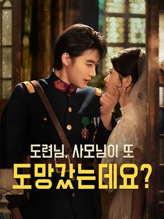 도련님, 사모님이 또 도망갔는데요? 표지