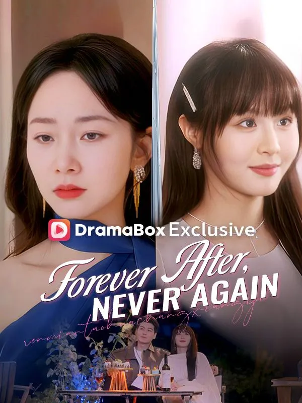 Forever After, Never Again (DUBBED) cover