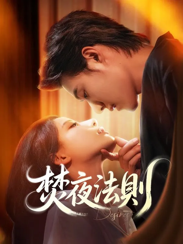《焚夜法則》封面