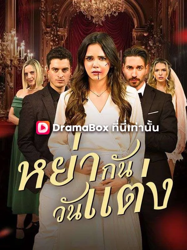 หน้าปกหย่ากันวันแต่ง