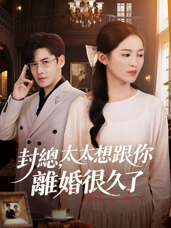 《封總，太太想跟你離婚很久了》封面