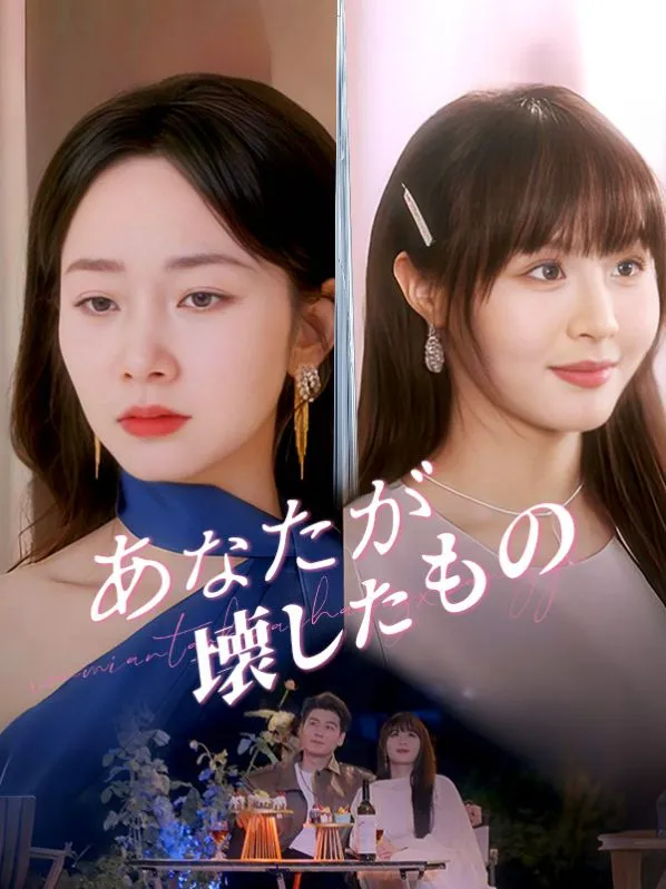 「あなたが壊したもの（日本語吹替版）」のカバー画像