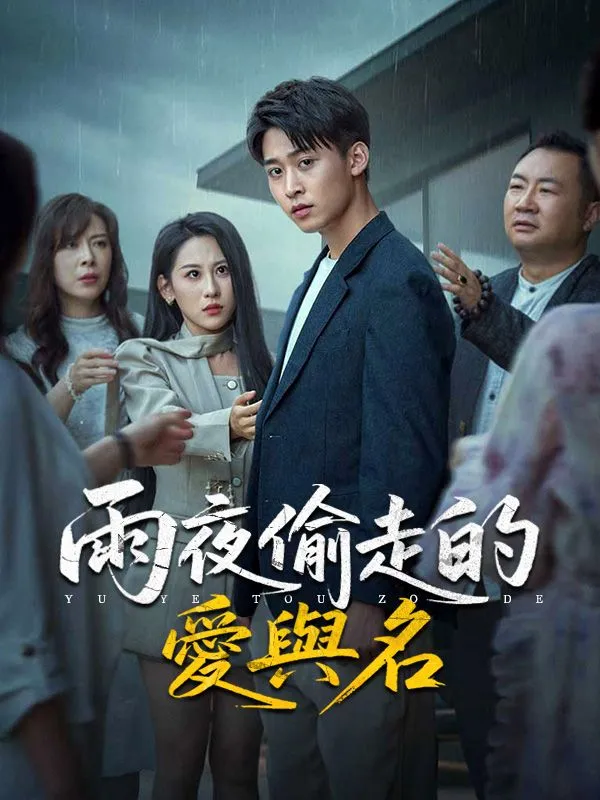 《雨夜偷走的愛與名》封面