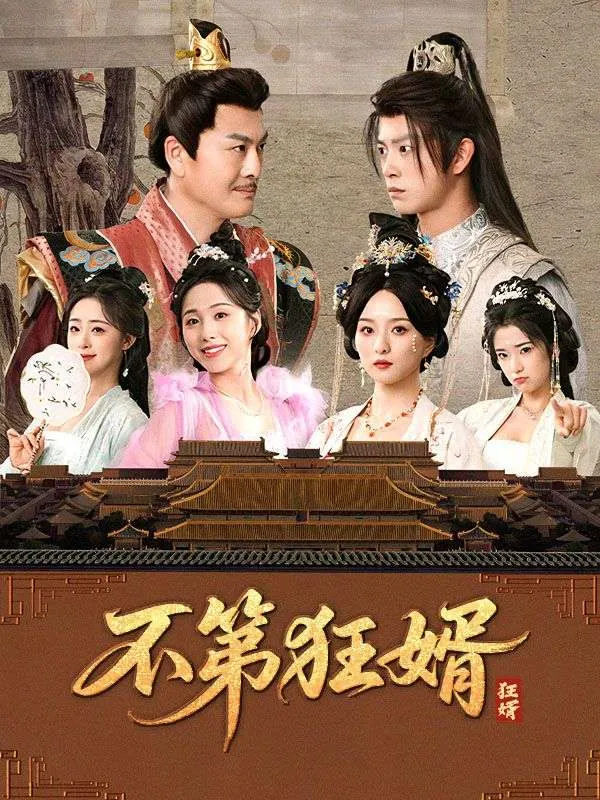 《不第狂婿》封面
