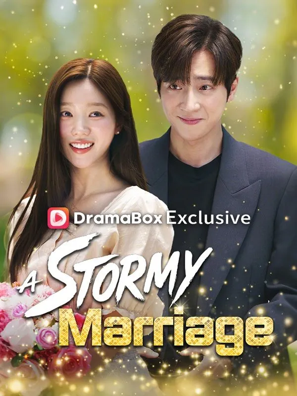 A Stormy Marriage cover