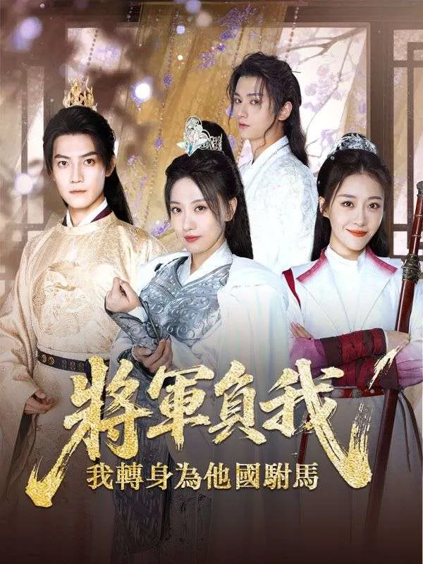 《將軍負我，我轉身為他國駙馬》封面