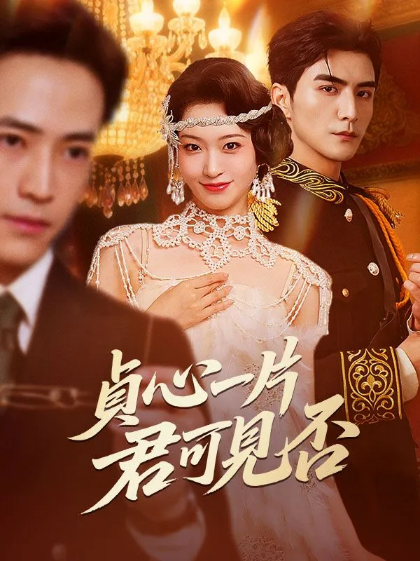 《貞心一片，君可見否》封面