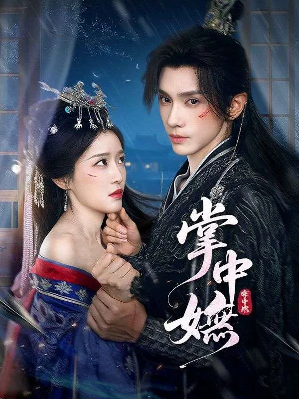 《掌中嫵》封面