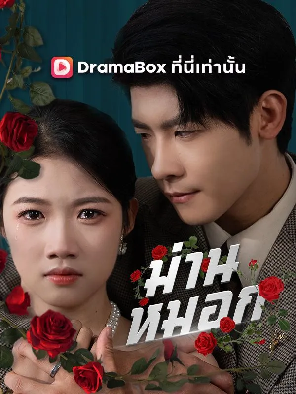 หน้าปกม่านหมอก(พากย์ไทย)