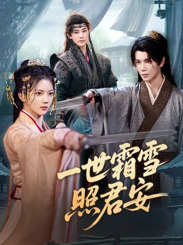 《一世霜雪照君安》封面
