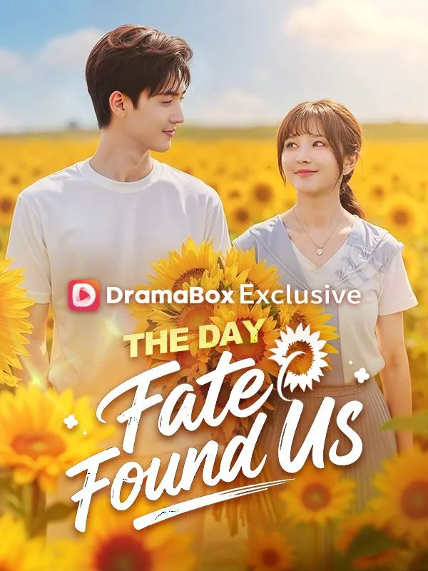 The Day Fate Found Us cover