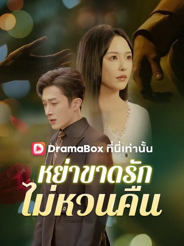 หน้าปกหย่าขาดรัก ไม่หวนคืน(พากย์ไทย)